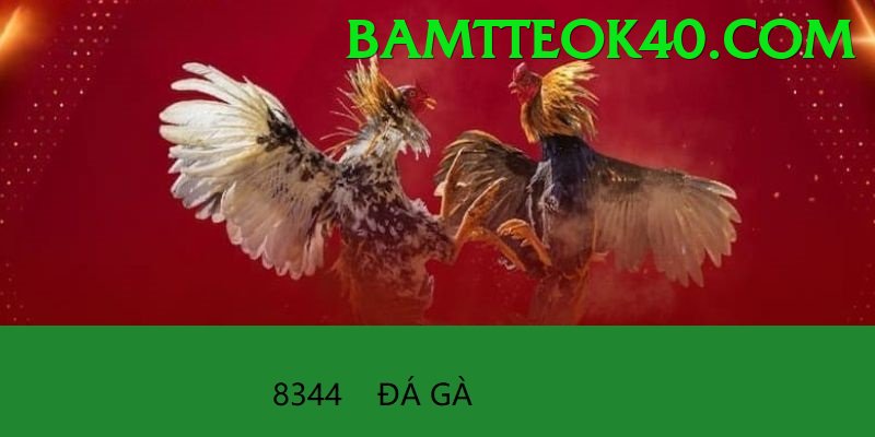 Đá Gà Trực Tiếp - kg88